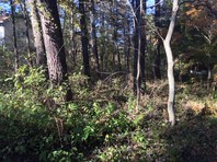 IMG_1861.JPG