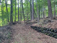 IMG_2105.jpg