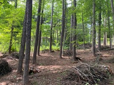 IMG_2108.jpg